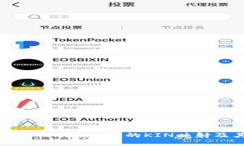 深入探讨Tokenim中的KIN映射及其影响