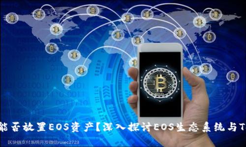 ### Tokenim能否放置EOS资产？深入探讨EOS生态系统与Tokenim的兼容性