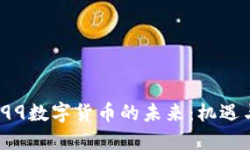 300399数字货币的未来：机遇与挑战