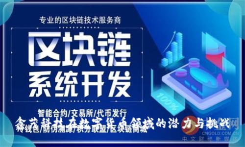 鑫茂科技在数字货币领域的潜力与挑战