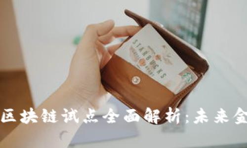 深圳数字货币区块链试点全面解析：未来金融革新的前沿