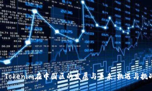 : Tokenim在中国区的发展与未来：机遇与挑战