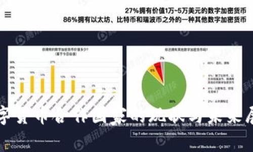 数字货币合作国家的现状与未来展望