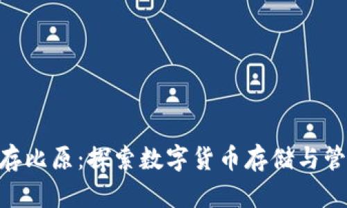 Tokenim存比原：探索数字货币存储与管理的未来