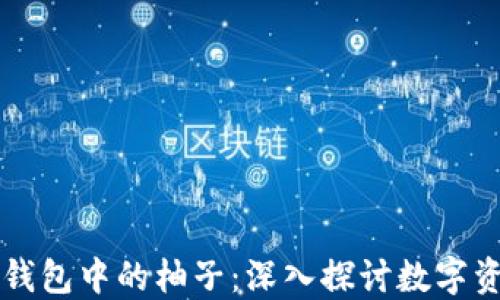 
以太坊钱包中的柚子：深入探讨数字资产之美