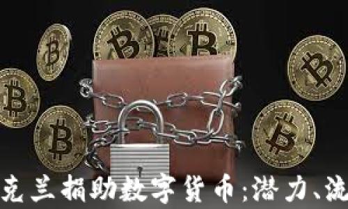 
如何向乌克兰捐助数字货币：潜力、流程与影响