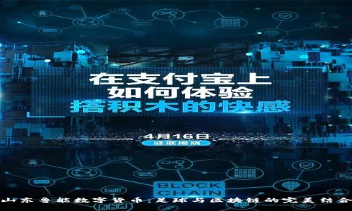 山东鲁能数字货币：足球与区块链的完美结合