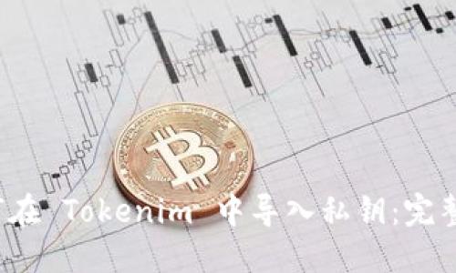  如何在 Tokenim 中导入私钥：完整指南