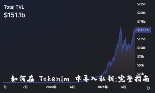  如何在 Tokenim 中导入私钥：完整指南