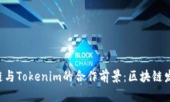 探索HPB芯链与Tokenim的合作