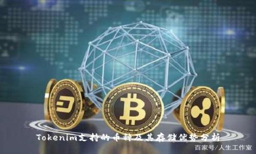 Tokenim支持的币种及其存储优势分析