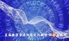  美国数字货币的稳定性探