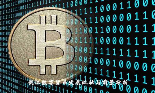 武汉数字货币发展现状与前景分析