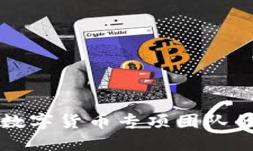 组建高效数字货币专项团队的最佳方案