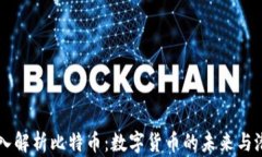 深入解析比特币：数字货币的未来与潜力