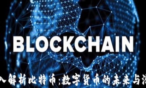 
深入解析比特币：数字货币的未来与潜力