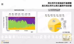 全面解析Tokenim Gas获得方法及实用技巧