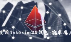 如何下载并使用Tokenim20钱