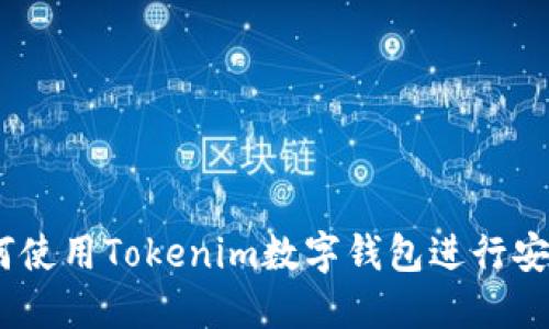 全面解读：如何使用Tokenim数字钱包进行安全的转账操作