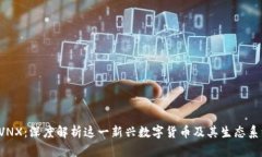 CVNX：深度解析这一新兴数字货币及其生态系统