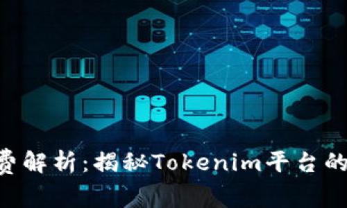 Tokenim充值收费解析：揭秘Tokenim平台的费用结构及策略