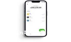 如何解决TokenIM不显示总资