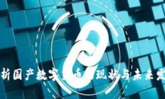 深入解析国产数字货币的