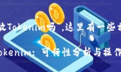 关于“达世币可以放Toke
