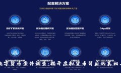 云南数字货币案件调查：揭开虚拟货币背后的真