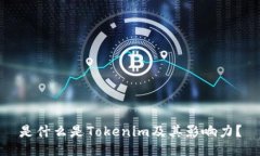 是什么是Tokenim及其影响力