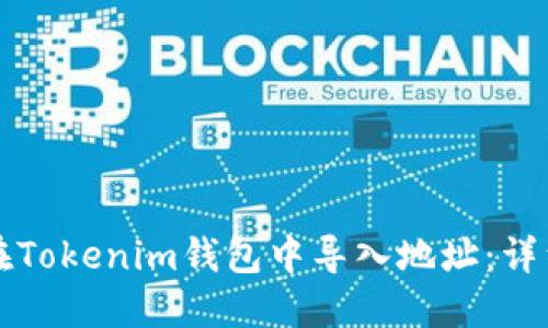 如何在Tokenim钱包中导入地址：详细指南