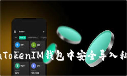 如何在TokenTokenIM钱包中安全导入私钥：详细指南