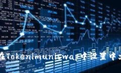 如何在Tokenimuniswap中设置中