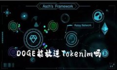 DOGE能放进Tokenim吗