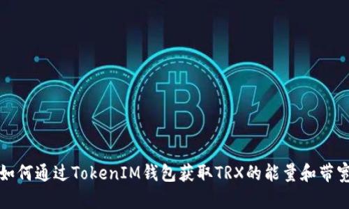 如何通过TokenIM钱包获取TRX的能量和带宽