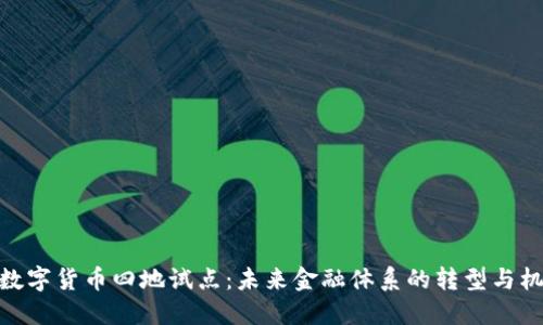 : 数字货币四地试点：未来金融体系的转型与机遇