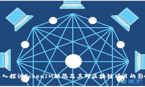 深入探讨TokenIM缺陷及其对区块链项目的影响