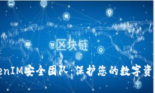 数字钱包TokenIM安全团队：保护您的数字资产的专业方案