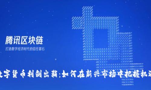 数字货币利剑出鞘：如何在新兴市场中把握机遇