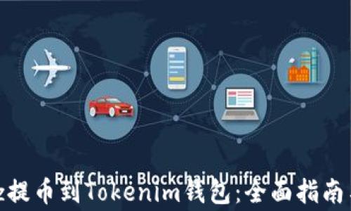 
如何将Bitz提币到Tokenim钱包：全面指南与注意事项