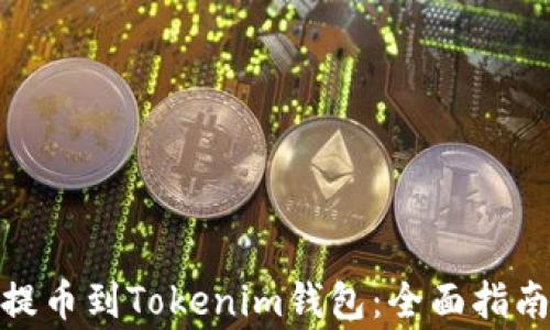 
如何将Bitz提币到Tokenim钱包：全面指南与注意事项