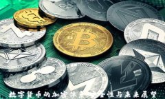 数字货币的加密体系：安全性与未来展望