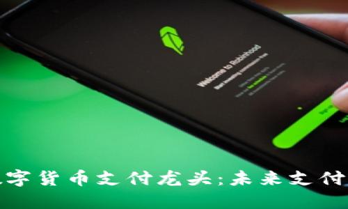 揭秘隐藏的数字货币支付龙头：未来支付的趋势与机遇