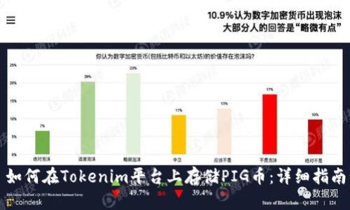 如何在Tokenim平台上存储PIG币：详细指南