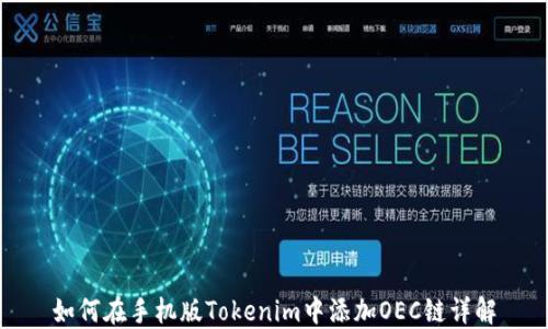 
如何在手机版Tokenim中添加OEC链详解