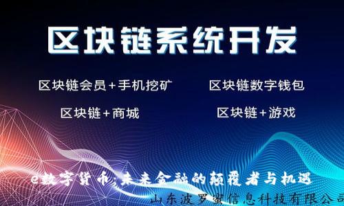 e数字货币：未来金融的颠覆者与机遇