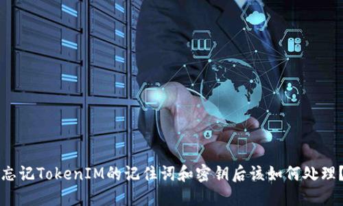 忘记TokenIM的记住词和密钥后该如何处理？