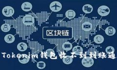如何解决Tokenim钱包收不到
