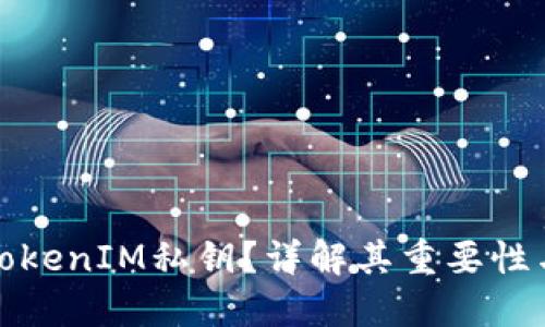 什么是TokenIM私钥？详解其重要性与安全性