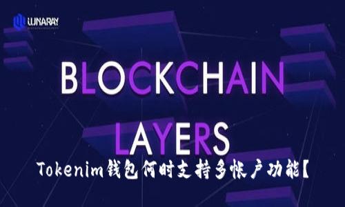 Tokenim钱包何时支持多帐户功能？
